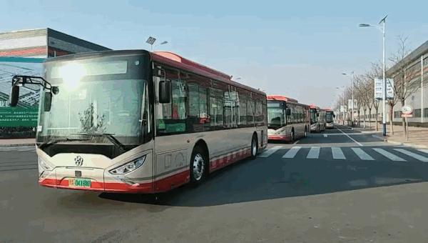 天津行吟，漫步津门古韵