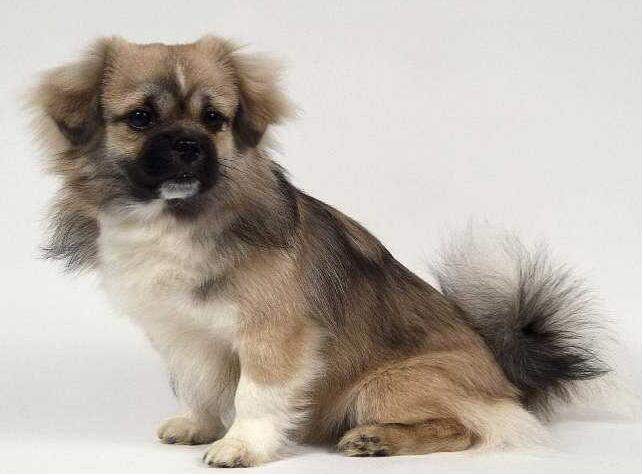 高原秘境，西藏的神秘之魂探寻之旅